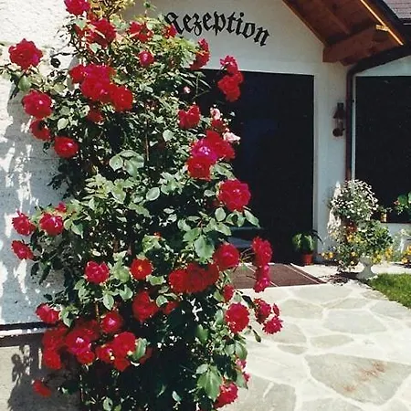 Alpenpension Birkenhof Hotel 3*