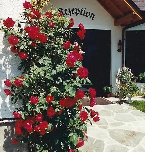 Alpenpension Birkenhof Hotel 3*