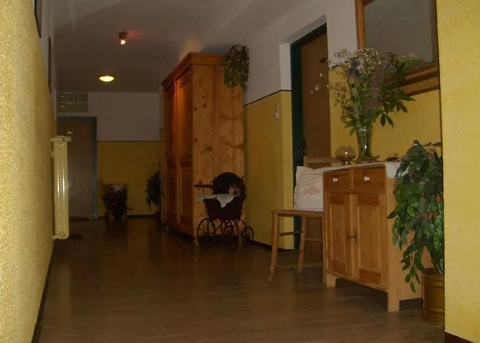 Alpenpension Birkenhof