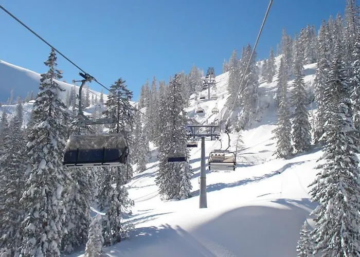 Alpenpension Birkenhof Hotel