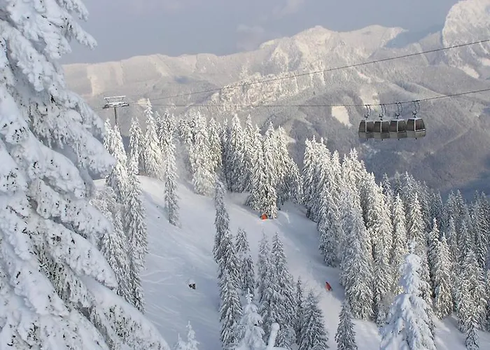Alpenpension Birkenhof