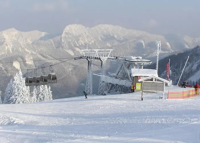 Hotel Alpenpension Birkenhof 3*