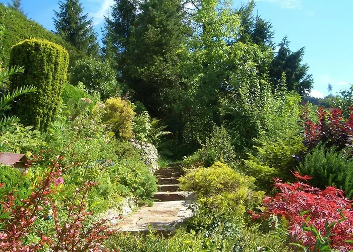 Alpenpension Birkenhof Hotel Gruenau im Almtal